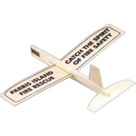 Custom Imprinted Custom Airplanes!