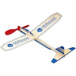 Custom Printed Balsawood Motorplane!