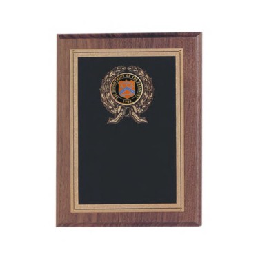 Custom Engraved Department of the Treasury Plaques