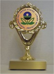 Engraved US Environmental Protection Agency EPA   Trophies!