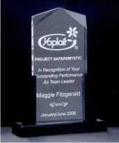 Airflyte Acrylic Awards, Customized With Your Logo!