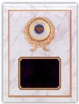 Engraved Air Combat Command Plaques!