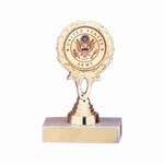Air Force Trophies