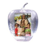 Custom Imprinted Apple Shaped Snow Globes