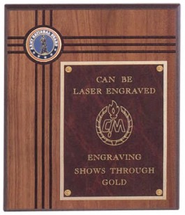 Army National Guard Plaques, Engraved With Your Logo!