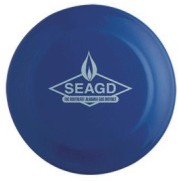 Blue Color Flyers, Custom Decorated With Your Logo!