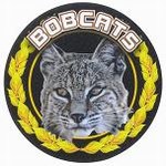 Custom Engraved Bobcats Mascot Emblems and Seals!