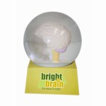 Custom Imprinted Brain Shaped Stock Snow Globes!