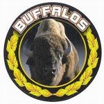 Custom Engraved Buffalos Mascot Emblems and Seals!