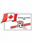 Custom Printed Canadian Stock Shaped Magnets