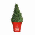 Custom Printed Christmas Rosemary!