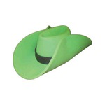 Custom Printed Foam Hats!