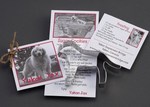 Custom Printed Dog Shaped Cookie Cutters!