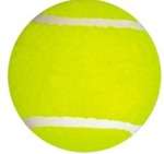 Custom Printed Dog Tennis Ball Toys!