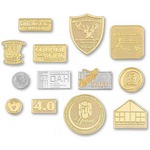 Personalized Die Struck Sandblast Lapel Pins!