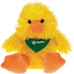 Personalized Stuffed Ducks!