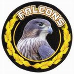 Custom Engraved Falcons Mascot Emblems and Seals!