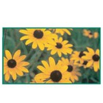 Custom Imprinted Fundraising Seed Packets!