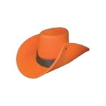 Custom Printed Giant Foam Cowboy Hats!