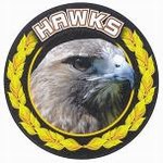 Custom Engraved Hawks Mascot Emblems and Seals!