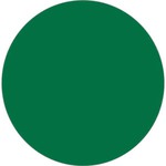 Custom Made Kelly Green Solid Color Beach Balls!