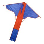Customized Kites with a Tail!