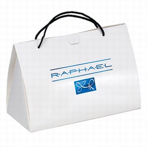 Large Box Bags, Custom Made With Your Logo!