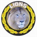 Custom Engraved Lions Mascot Emblems and Seals!