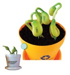 Custom Imprinted Magic Beans