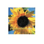 Custom Imprinted Square Shaped Magnets!