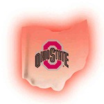 Custom Designed Ohio State Shaped Lighted Necklaces!