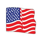 Custom Printed Patriotic Themed Paper Fans!