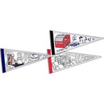 Custom Printed White Felt Pennants!