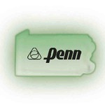 Custom Imprinted Pennsylvania State Shaped Lighted Necklaces!