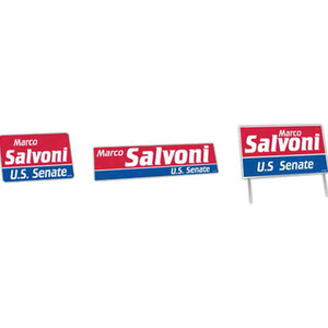 Political Campaign Political Election Campaign Kits, Custom Decorated With Your Logo!