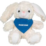 Personalized Stuffed Bunny Rabbits!