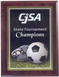 Soccer Photo Sport Plaques, Custom Decorated With Your Logo!