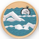 Custom Engraved Swimming Emblems and Seals!