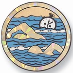 Custom Engraved Swimming General Emblems and Seals!