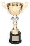 Custom Printed Engraved Trophies Cups!