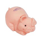Custom Printed Vinyl Piggy Banks!