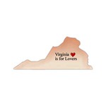 Custom Made Virginia State Shaped Lighted Necklaces!