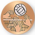 Custom Engraved Volleyball Emblems and Seals!