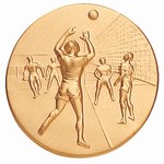 Custom Engraved Volleyball Male Emblems and Seals!