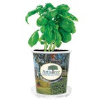 Custom Printed Flower Grow Kits!