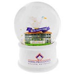 Customized 3-d Snow Globes