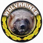Custom Engraved Wolverines Mascot Emblems and Seals!