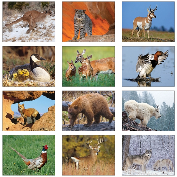 Wild Life Art Executive Calendars, Custom Imprinted With Your Logo!