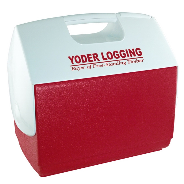 Picnic Coolers, Custom Imprinted With Your Logo!