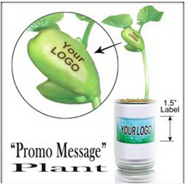 Magic Beans, Custom Imprinted With Your Logo!